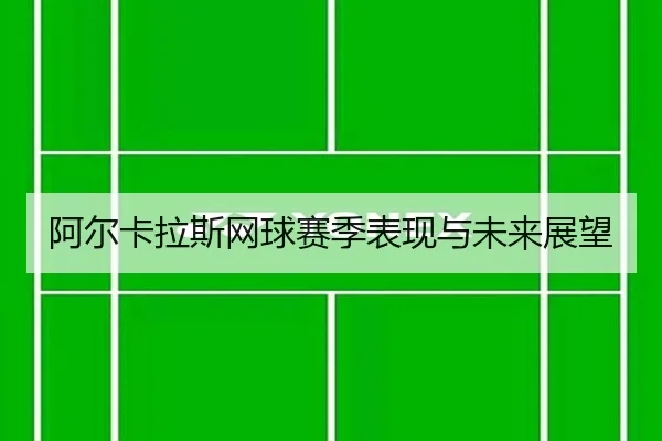 阿尔卡拉斯网球赛季表现与未来展望